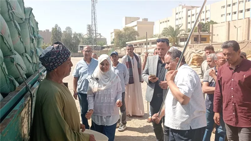 مديريات التموين تبدأ تنفيذ قرار صرف 10 كيلو نخالة مقابل توريد أردب قمح