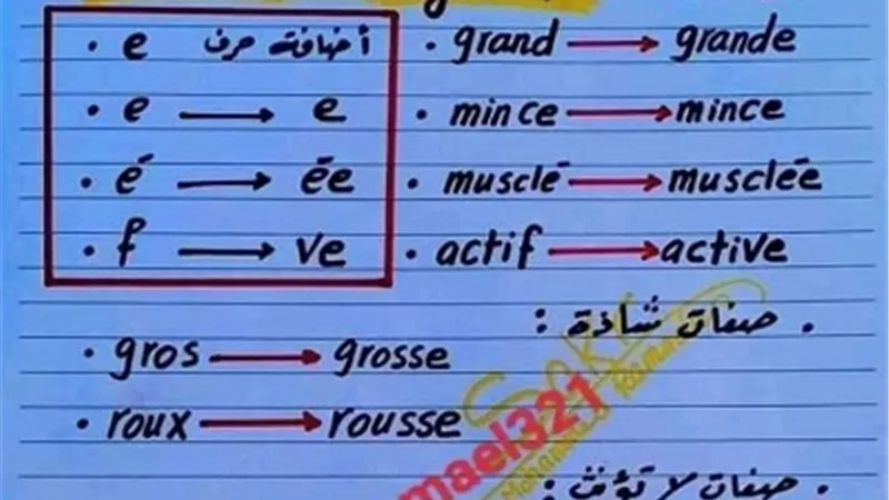 ملخص مادة اللغة الفرنسية للصف الأول الثانوي..لن يخرج عنه الامتحان