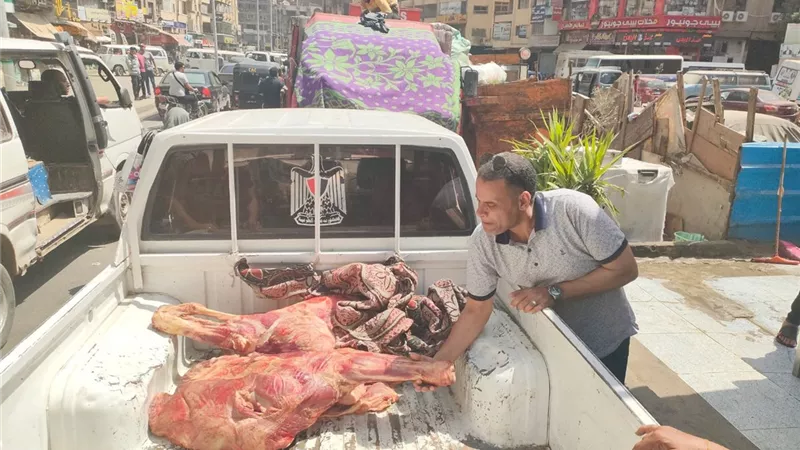بيطري الجيزة يضبط ٦ اطنان و743 كيلو لحوم ودواجن فاسدة