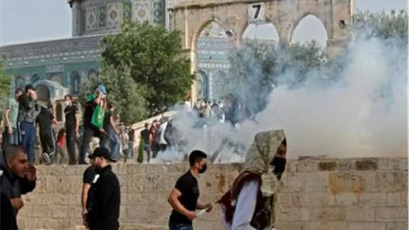 سفير فلسطين بالقاهرة: إسرائيل ترتكب جرائم دموية مكتملة الأركان