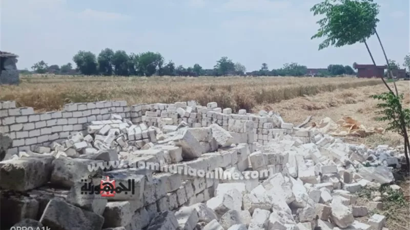 المنوفية: إزالة 454حالة تعدي على الأراضي الزراعية وأملاك الدولة