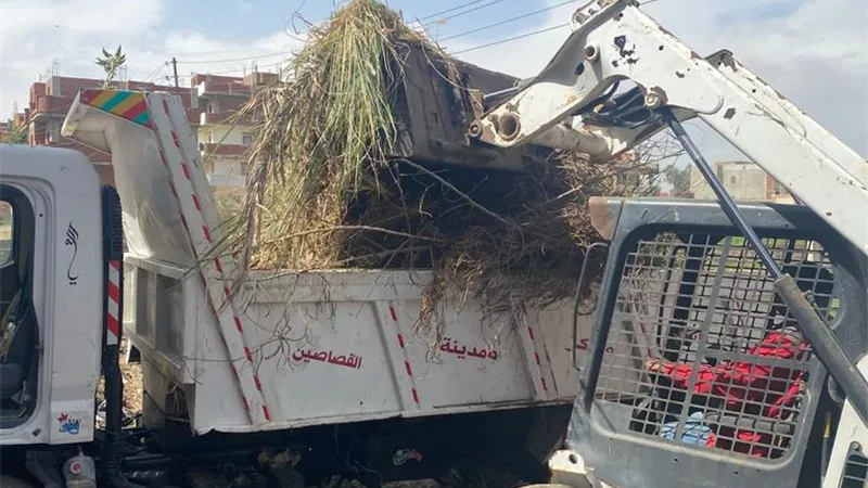 رفع ٨٣٨٢ طن قمامة من الإسماعيلية خلال الأسبوع الماضي