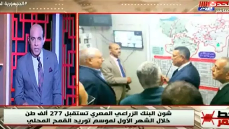 البنك الزراعي: استقبلنا 320 ألف طن قمح حتى الآن