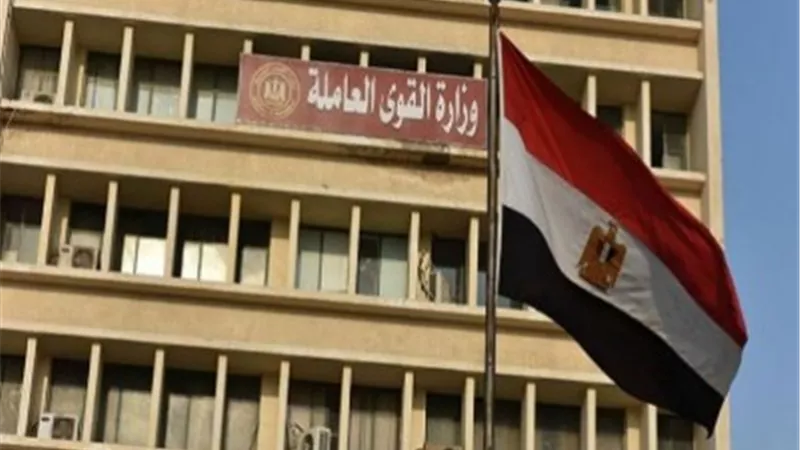 القوى العاملة: دورات على مهارات اللغة الإنجليزية للشباب بالسويس