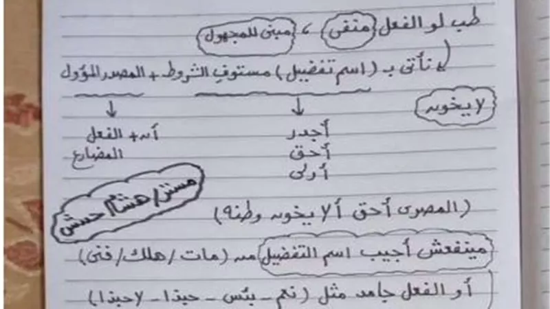 ملخص النحو للشهادة الاعدادية فى 4 ورقات.. معنا تضمن الـ 100%