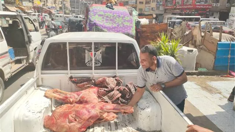 الجيزة تضبط ٧ اطنان لحوم فاسدة.. تعرف على الأماكن