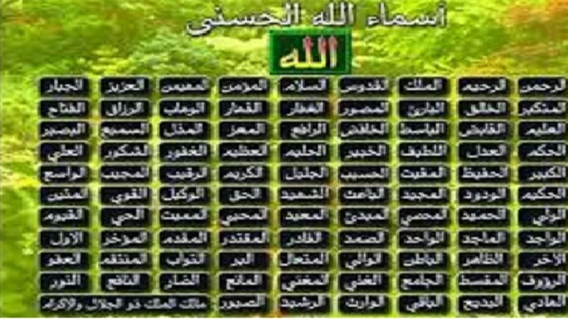 من احصى اسماء الله الحسنى دخل الجنة فهل يُعنى ذلك الحفظ والقراءة