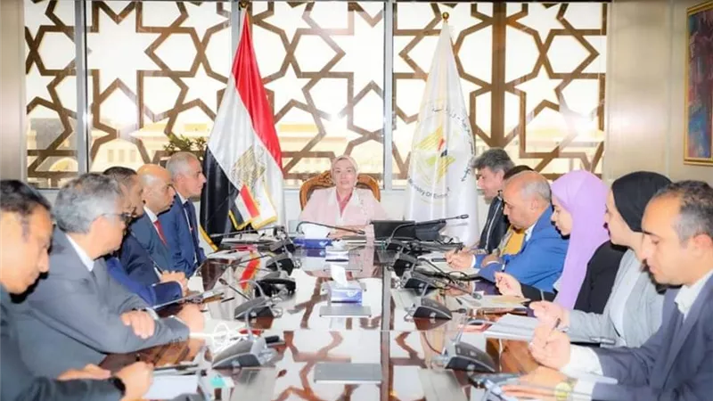 وزيرةالبيئة تلتقي عددًا من المستثمرين وشركات تحويل المخلفات لطاقة