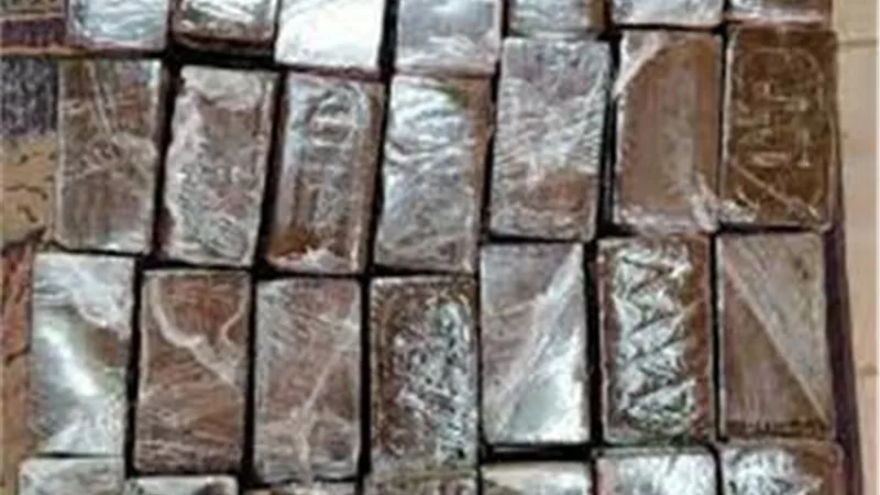 إحباط ترويج 50 طربة حشيش بالشرقية