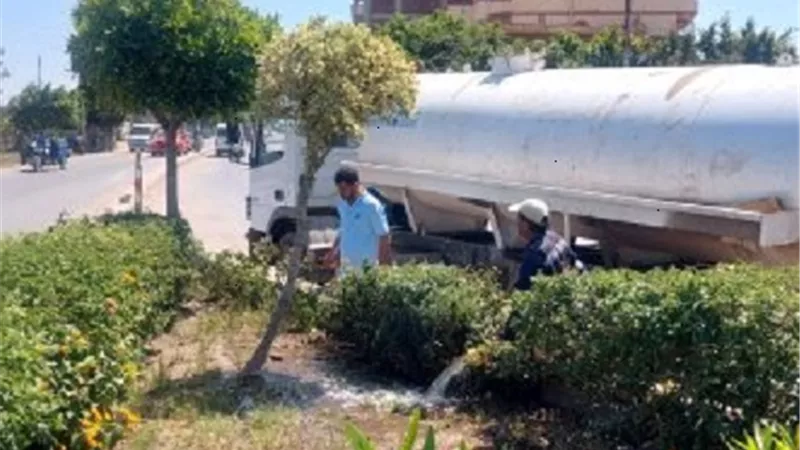 زراعة 175 ألف شجرة بالميادين والمدارس ومراكز الشباب بكفر الشيخ