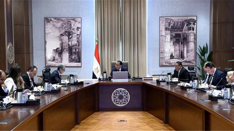 مدبولي يؤكد أهمية جهود الوزارة في التطوير المستمر لقطاع الكهرباء