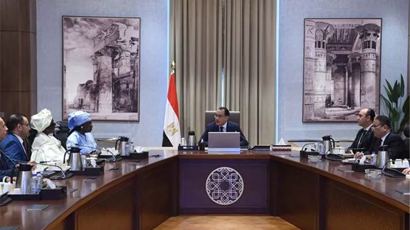 رئيس الوزراء يلتقي رئيسة المجلس الاستشاري للاتحاد الإفريقي