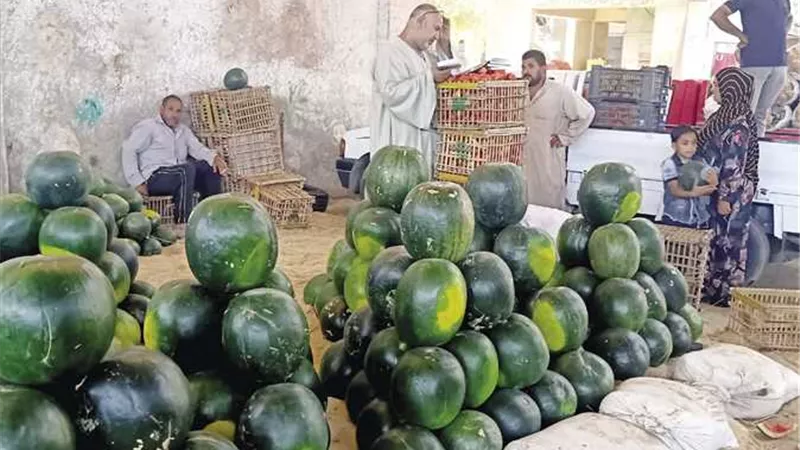 الزراعة: السلع الزراعية بالاسواق آمنة تماماً وخالية من الكيماويات