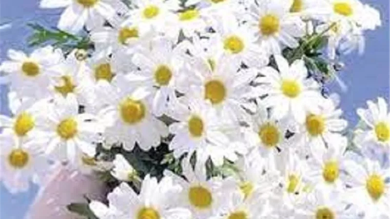 من اجمل ما قرأت _اربعة لا تتركهم فى حياتك