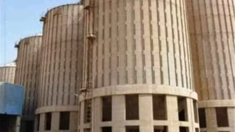 توريد 40 ألف طن قمح لشون وصوامع سوهاج ..صور