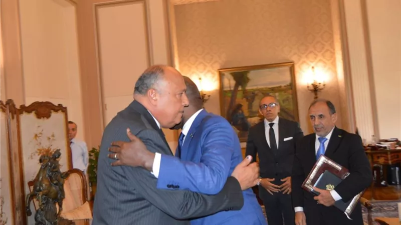 شكري يستقبل وزير الشؤون الخارجية والتعاون والموريتانيين في الخارج