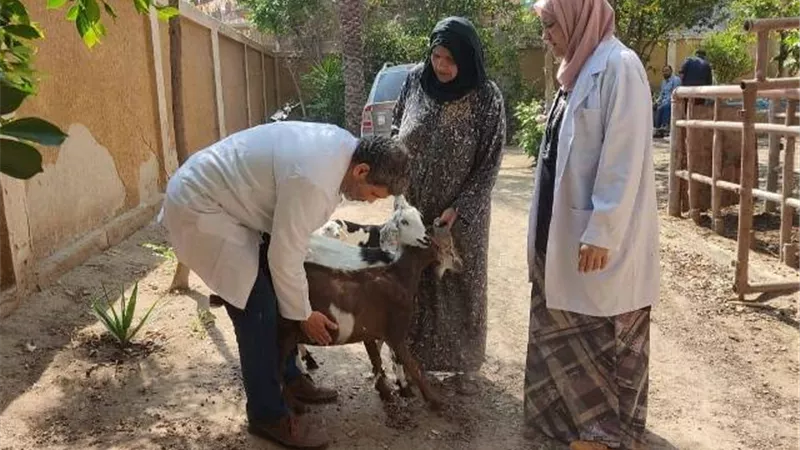 قافلة طبية بيطرية شاملة بالمجان بقرية موسى عمران