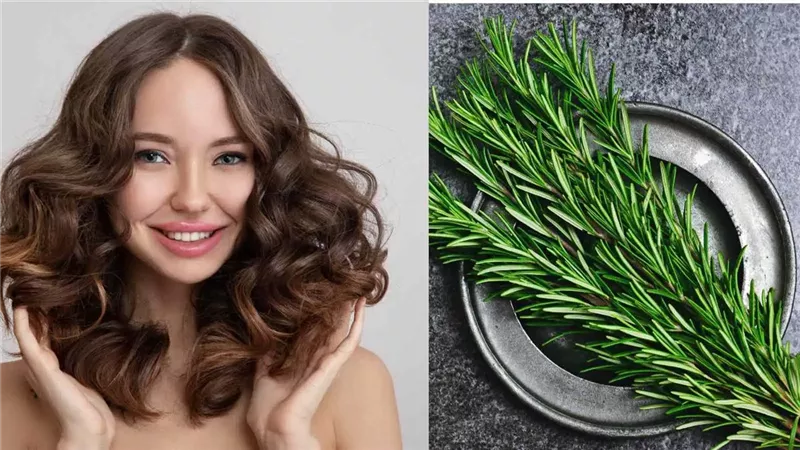 اكليل الجبل معجزة علاج مشاكل الشعر