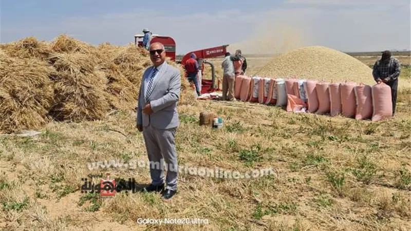 نائب رئيس جامعة السادات يشهد حصاد محصول القمح بمزرعة الجامعة