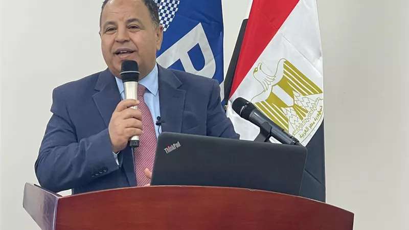 المالية: تحويل نقص الكهرباء والغاز إلى فائض للتصدير..