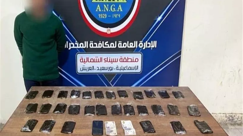 الداخلية تضبط 273 طربة حشيش..صور