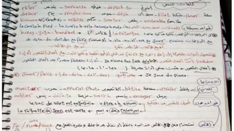 ملخص الفرنساوي للثانوية العامة في 8 ورقات فقط