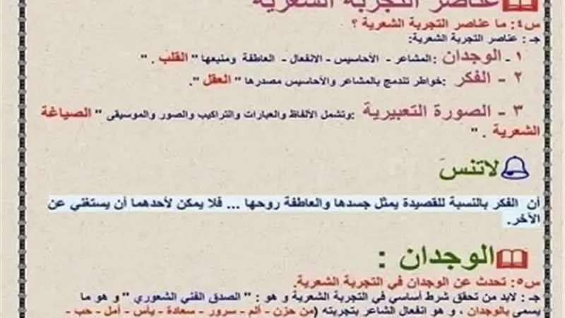 أهم نقاط البلاغة للثانوية العامة..لن يخرج عنها الامتحان