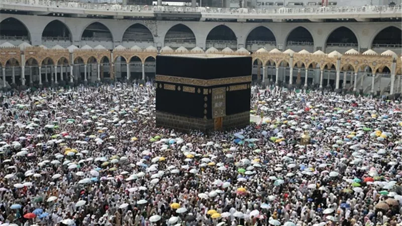 تقصير الشعر فى الحج والعمرة للمرأة_تلك هى كيفيته