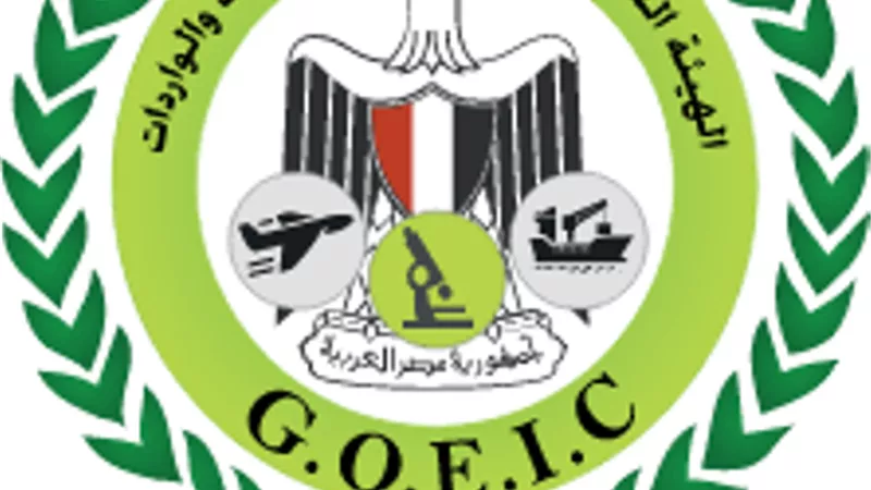 1.3 مليار جنية ضرائب بجمارك الصادرات والواردات الجوية