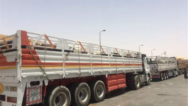 مصر تستقبل شحنة من رؤوس الماشية عبر معبر قسطل البري