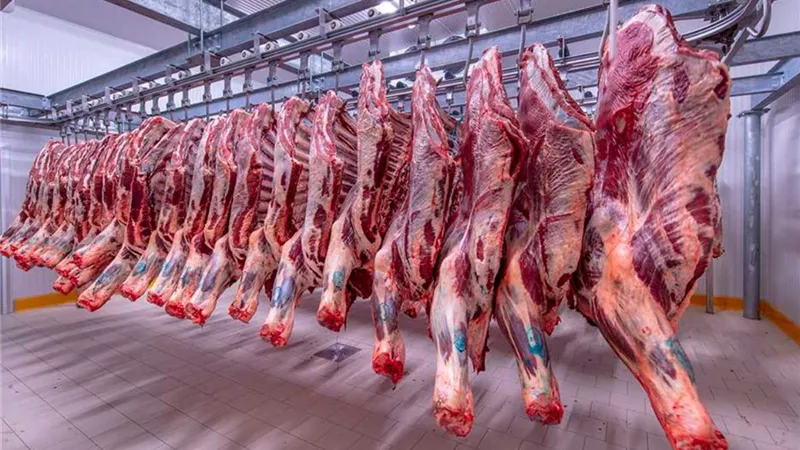 استعداداً لعيد الأضحى.. طرح لحوم بـ 195 جنيها في المجمعات الاستهلاكية