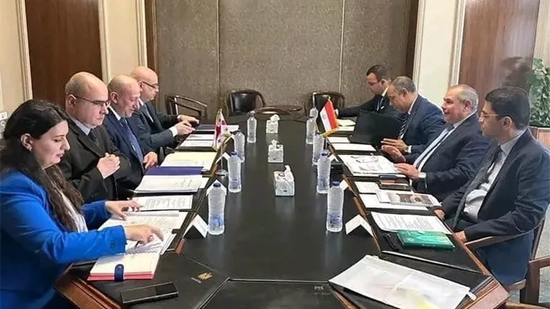 مصر تعقد الجولة السادسة من المشاورات السياسية الثنائية مع جورجيا