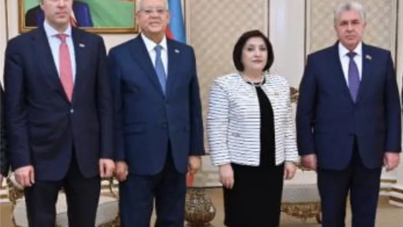 المستشار حنفي جبالي يلتقي رئيسة برلمان أذربيجان