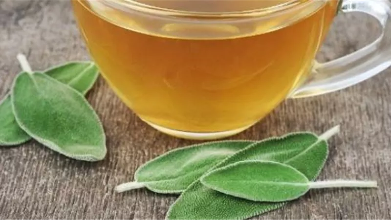 اهمية الميرمية و فقدان الوزن