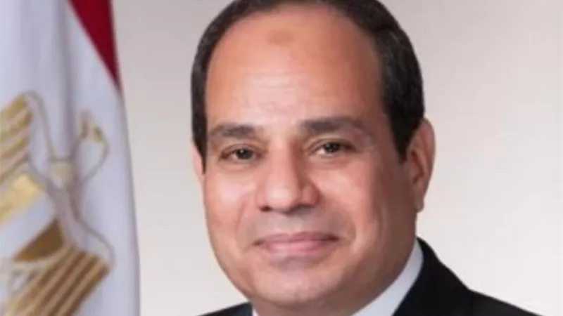 الرئيس السيسي يؤكد استمرار الجهود المصرية للتهدئة في الأراضي الفلسطينية