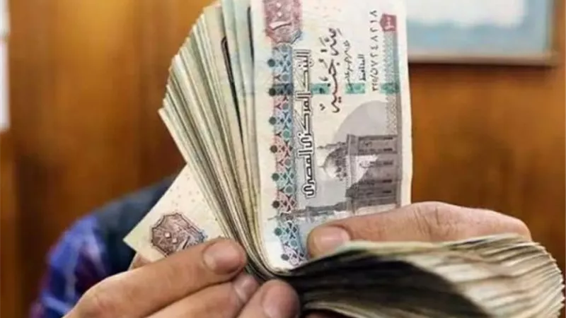 تعرف على شروط صرف منحة العمالة غير المنتظمة والمستندات المطلوبة