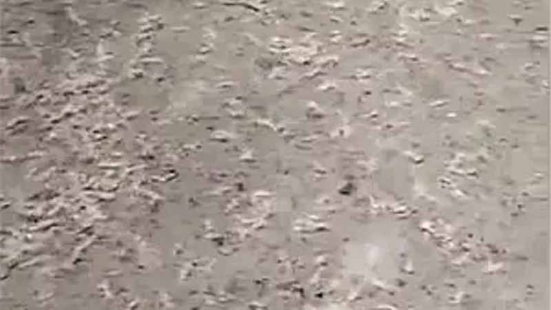 آلاف الديدان 