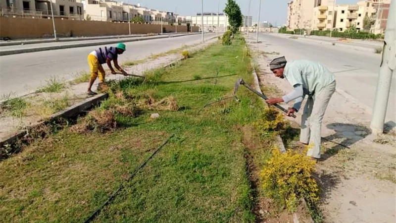 بالصور .. جهاز حدائق اكتوبر يرفع كفاءة المسطحات الخضراء