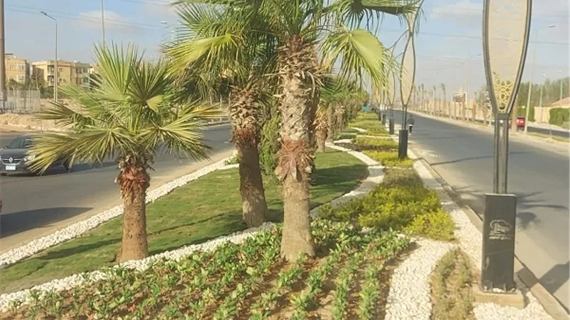 طريق زويل