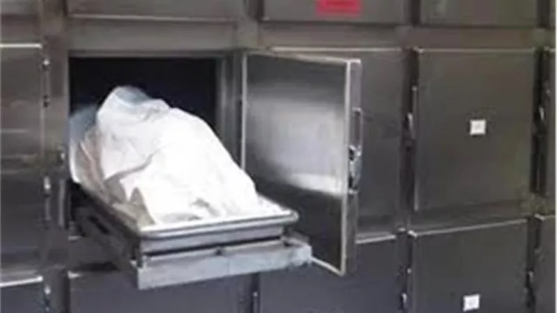 مصرع ربة منزل وإصابة زوجها في تصادم بالشرقية