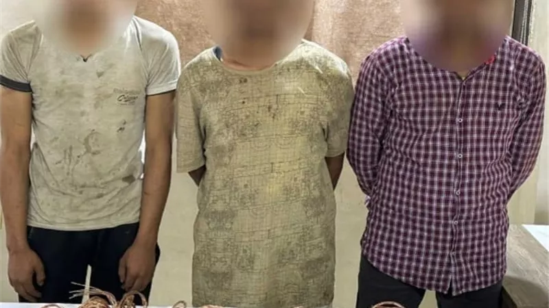 القبض على لصين سرقا الكابلات الكهربائية في القاهرة