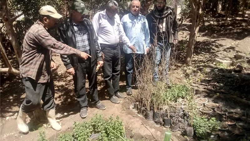 محافظ أسيوط: استمرار فعاليات مبادرة زراعة 100 مليون شجرة بالمراكز