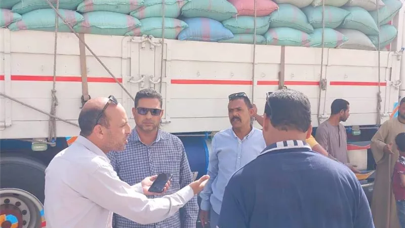 ضبط 3 سيارات محملة بـ 74 طن قمح بهدف الاحتكار بالمنيا والعدوة