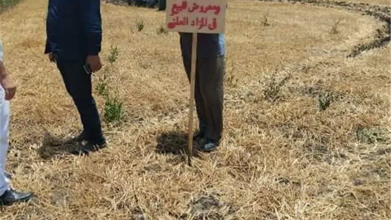 إزالة 60 حالة تعدي على9 آلاف متر مباني و53 فدانا بالشرقية