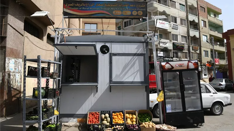 محافظ قنا يتفقد منقذ مشروع دعم القدرات التسويقية لصغار المزارعين