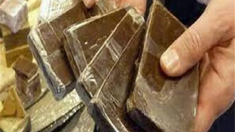 ضبط ديلر الدقهلية بـ10 كيلو بانجو وحشيش