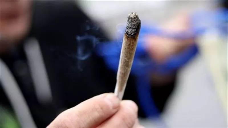 زوجة فى دعوى طلاق للضرر: جوزي مغيب طوال الوقت ومبيشتغلش