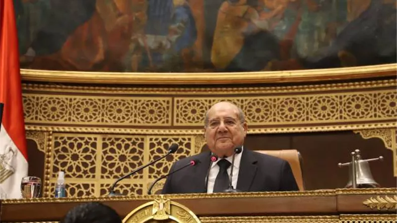 مجلس الشيوخ يناقش سياسة الحكومة عن تصدير فائض الكهرباء إلى أوروبا