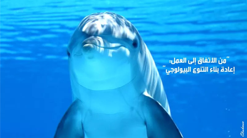 مصر تشارك العالم الاحتفال باليوم العالمي للتنوع البيولوجي 2023