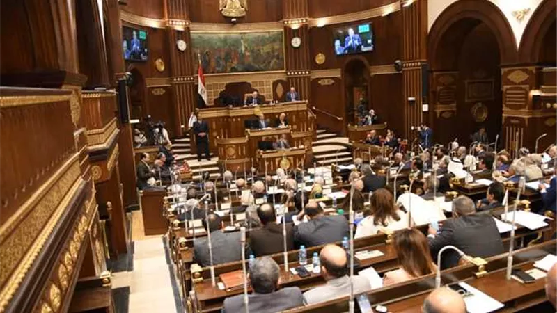الشيوخ يطالب بالاعتماد على الطاقة الشمسية في صعيد مصر